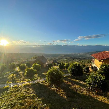 Hotel Carigua Баричара Екстериор снимка
